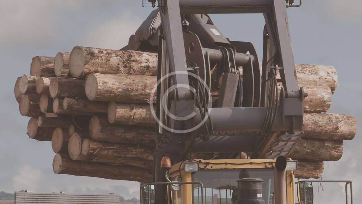 Logging